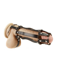 Rimba - Penis   glans tube with ball ring and straps