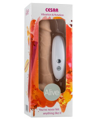 Dr. Skin - Dildo Vibrante Cock Vibe no3 - Beige Dr. Skin - Dildo Vibrante Cock Vibe no3 - Beige