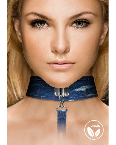 Denim Collar with Leash