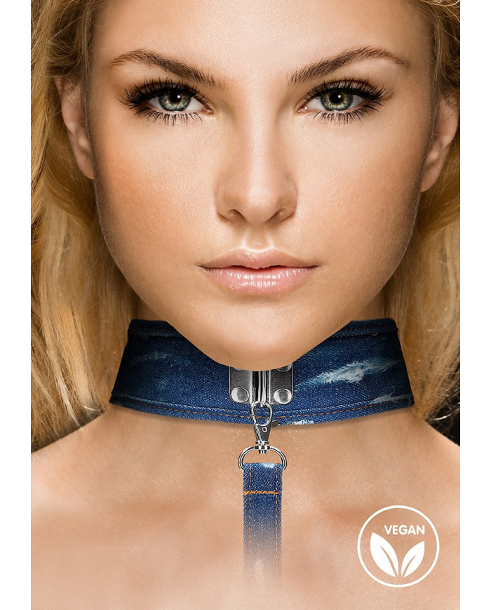 Denim Collar with Leash