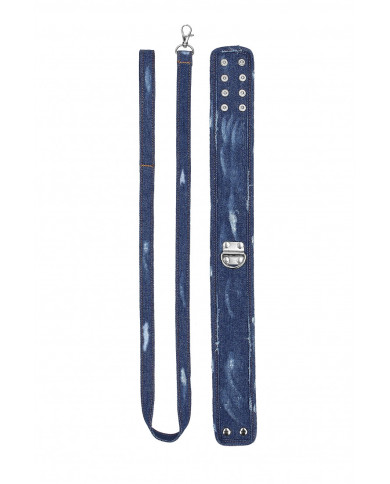 Denim Collar with Leash