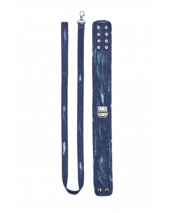 Denim Collar with Leash