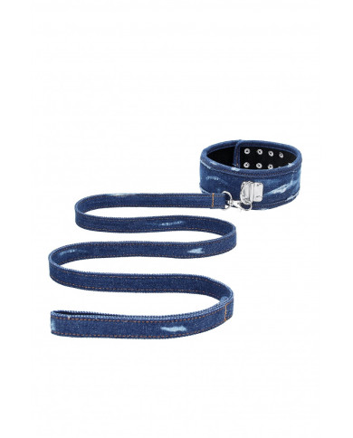 Denim Collar with Leash