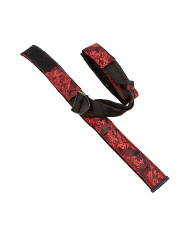 Scandal  - Restraint Set for Bicep