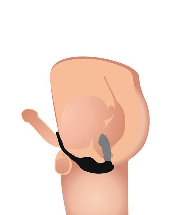 7X Milking   Vibrating Prostate Stimulator    Harness