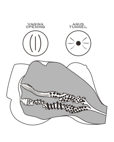 LoveToy - Streetgirls 7 - Masturbator