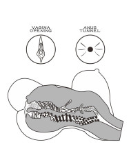 LoveToy - Streetgirls 6 - Masturbator - Black