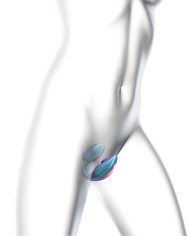 Love to Love - Wonderlover - Clitoral Vibrator - Turquoise