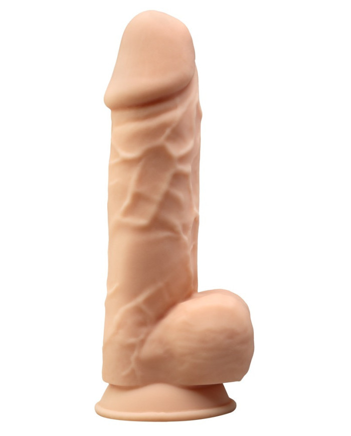 SilexD Model 1 (8 5) Motor